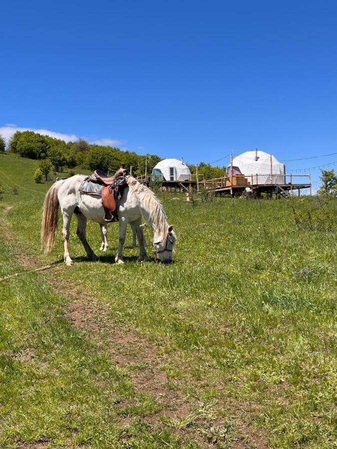 Hotel Glamping Park Shahumyan Esterno foto